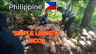 living a simple lifestyle in irosin sorsogon bicol