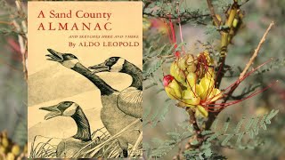 Book Review: A Sand County Almanac