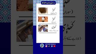 Saraiki Vocab.(67)      #youtubeshorts #shorts #viral #saraiki #سرائیکی #vocabulary