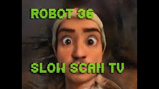 0096 Toonify SSTV Robot36