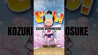 Kozuki Momonosuke, Raja di Wano dan Faktanya #facts #anime #onepiece