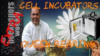 Queen Cell Incubator Beekeeper Weekly