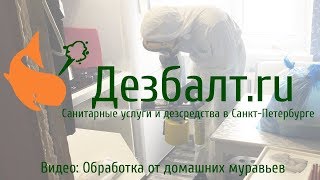 Обработка от домашних муравьев - Дезбалт