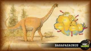 Barapasaurus | ABCsaurio