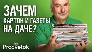 НЕ ВЗДУМАЙТЕ ЭТО ВЫБРОСИТЬ! Как картон и старые газеты помогут избавиться от сорняков и вредителей?