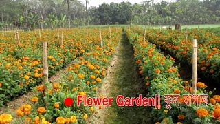 Flower Garden|| ফুল বাগান