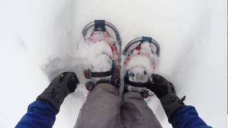 Snowshoeing (long)