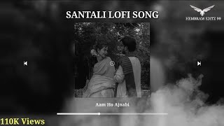 Santhali lofi song || Aam Ho Ajnabi Lofi song  #santali #santalilofisong #santalilofi #lofi #love