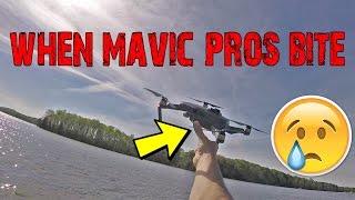 WHEN DJI MAVIC PROS BITE