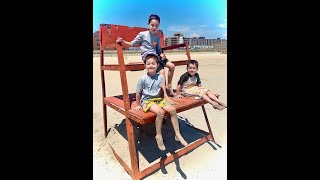 Cat’s Corner: “My Three Sons”