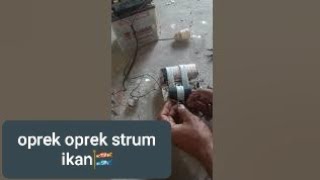 0prek oprek strum ikan