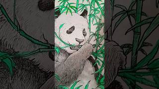 #раскрашиваю #панда #рек #рекомендации #панда #красивая #🐼