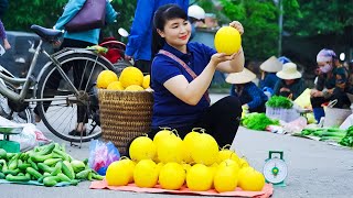 How to Harvest Yellow Melon, goes To Market Sell - Harvesting and Cooking |Tieu Vy Daily Life