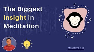 The Biggest Insight in Meditation