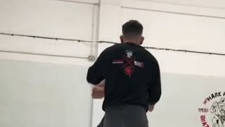 MMA striking pad drills