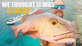 Mangrove Jack OR Red Bass?? | Epic night & Day at sea