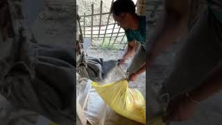 Making flour from wheat in india engine  #viral  #video #entertainment #farming