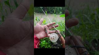 Microfishing - Memancing ikan keting #fishing #mancing #microfishing #keting