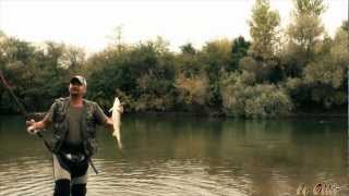 Exceptional bolo fishing - The almighty barbel