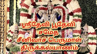 ஸ்ரீதேவி பூதேவி சமேத சீனிவாச பெருமாள் திருக்கல்யாணம்