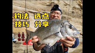 【钓鱼达人 经验谈】 悉尼钓鱼 内弯Bream【经验分享】