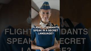 "Gate Lice" means WHAT?! Secret flight attendant code words you need to know! #shorts