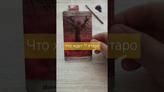 Что ждет ?? #таро #tarotube