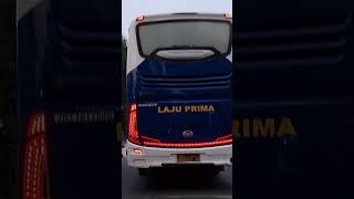 bus laju prima