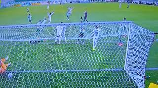 Gol pro  Palmeiras contra  Juventude 0 x 1 Palmeiras brasileirão