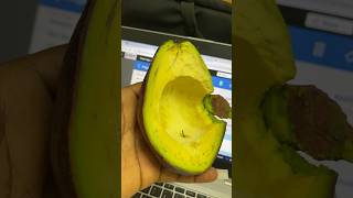 Avocado yumminess #avocado #shorts #youtubechamps