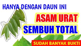 OBAT HERBAL ASAM URAT!!! SEMBUH TOTAL DENGAN DAUN INI #obatherbal #asamurat