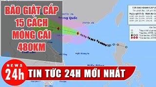 Cập nhật diễn biến bão số 1: Bão giật cấp 15, cách Móng Cái 480 Km