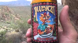 Alleycat Amber Ale Beer Review