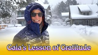 Gaia’s Lesson of Gratitude