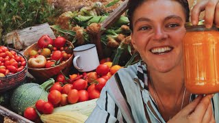 Tomates y Maíz dulce: de la Huerta a la Mesa - cómo comemos maíz y tomates TODO EL AÑO