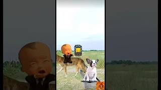 Elephant,cat,dog,fox,crying baby & train🚂🚂🚂#short#viral#elephant#cat#dog#fox#cryingbaby#train#omvfx