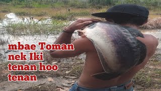 GILEEE‼️ ikan kok Segede ini sampai reel pancing mrotoli