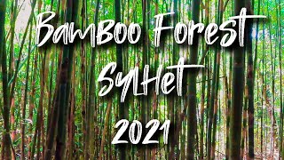 Unveiling A Magical Forest (Cinematic) - A Tribute To Sylhet 2021