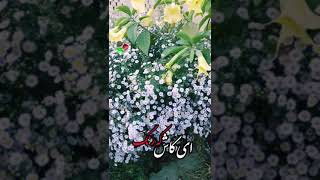 ای کاش که رنگ آسمان آبی بود...