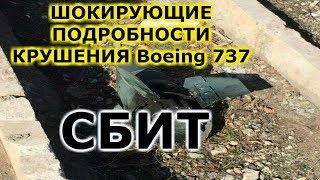 Украинский Boeing 737 в Иране сбит ЗРК Тор М1