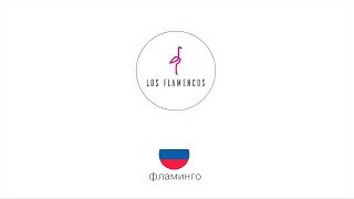 Какие зоны общего пользования есть в жилом комплексе? (Жилой комплекс Los Flamencos)