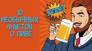 10 необычных фактов о пиве