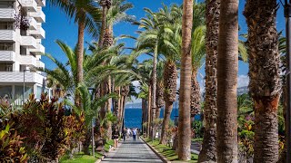 Puerto de la Cruz Tenerife - Winter 2023 - City Highlights