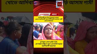 তৃণমূল নেতা কৃষ্ণদাসের আদিবাসীদের নিয়ে করা মন্তব্যে কবে আদিবাসী মহল #news #adibasinews