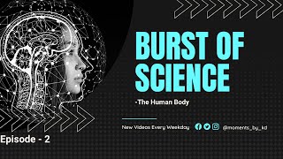 Why don't we remember being born ? | Burst of Science | Episode 2 | The Human Body #Burst#of#Science