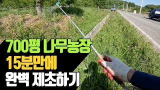 700평 나무농장 15분만에 완벽 제초하기 | 나무대장🌳 나무농사의 모든것