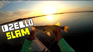 Topwater BLOW ups - Ozello Kayak Fishing SLAM