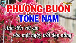 Karaoke Phượng Buồn Tone Nam ( F ) Nhạc Sống Mới | Karaoke Tuấn Kiệt