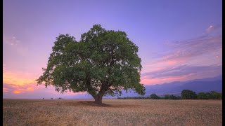 Красоты Исмаиллинского района, Азербайджан