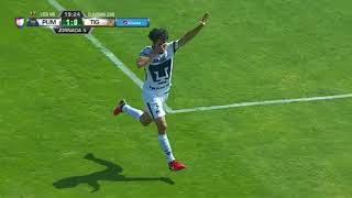 Resumen Pumas 2-0 Tigres (2018)